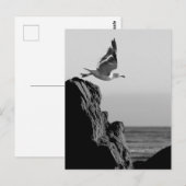 Sluitstukken Briefkaart (Voorkant / Achterkant)