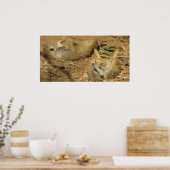 Slumbering Meerkats poster (Keuken)
