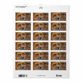 Sly Fox Etiket (Full Sheet)