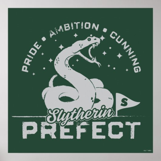 SLYTHERIN™ Prefect-badge Poster (Voorkant)