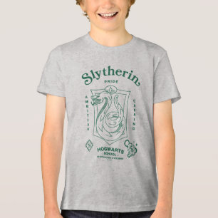 SLYTHERIN™ Trots Ambities Listigheid Wapen Tri-Blend Shirt