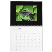 Sm, Med, Calendriers Lg - Papillons (Jan 2027)