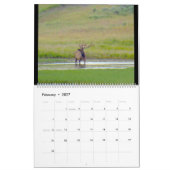 Sm, Med, Lg Calendar Yellowstone Kalender (Feb 2027)