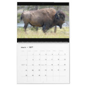 Sm, Med, Lg Calendar Yellowstone Kalender (Mar 2027)