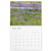 Sm, Med, Lg Calendar Yellowstone Kalender (Jan 2027)