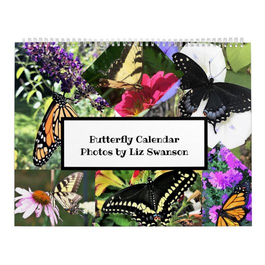 Sm, Med, Lg Calendars - Butterflies Kalender (Hoes)