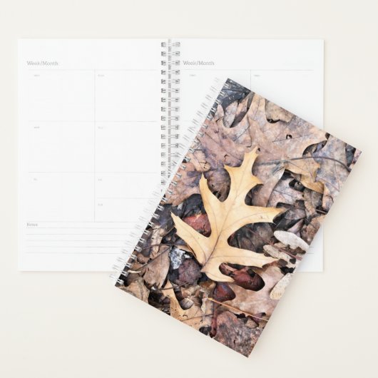SM Planner Eikenblad (Display)