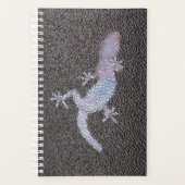 Sm Planner Gecko sur le verre (Devant)