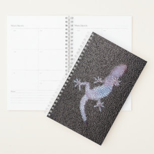 Sm Planner Gecko sur le verre