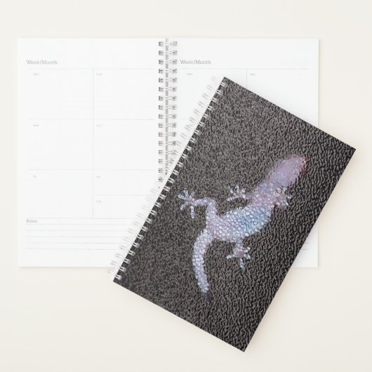 Sm Planner Gecko sur le verre (Devant avec enveloppe)