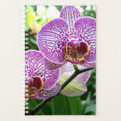Sm Planner Orchidées à rayures violettes (Devant)