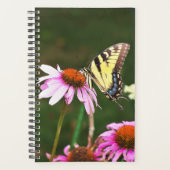 Sm Planner Tiger Swallower sur Coneflower (Devant)