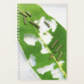 Sm Planner Tiny Monarch Caterpillar (Devant)