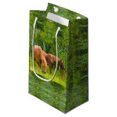 Sm sac cadeau Assateague Ponies (Devant Angle)