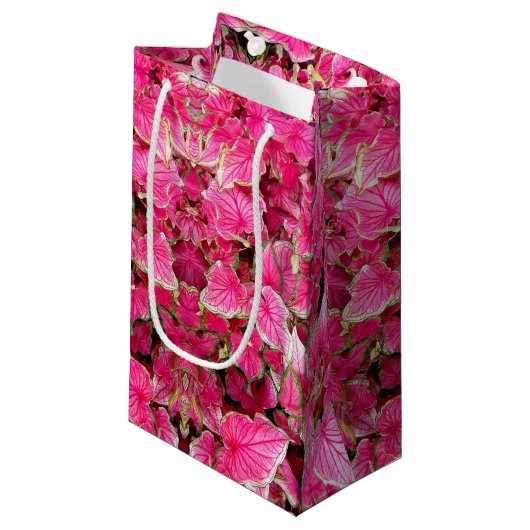 Sm Sac Cadeau Feuilles roses (Devant Angle)
