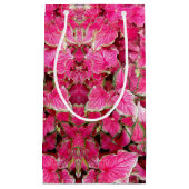 Sm Sac Cadeau Feuilles roses (Devant)
