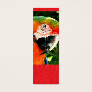 SM. Signet de rouge d'ara d'écarlate