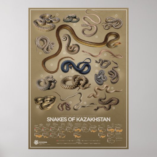 Smaak van het Kazachse poster (Voorkant)