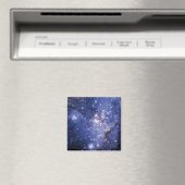 Small Magellanic Cloud Magneet (Insitu (Vaatwasser))