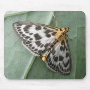 Small Magpie Moth Mousepad Muismat