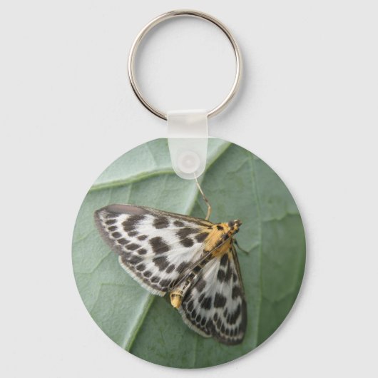 Small Magpie Moth Sleutelhanger (Voorkant)