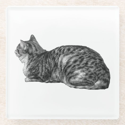 Small Pause, Tabby Poise Glazen Onderzetter (Voorkant)