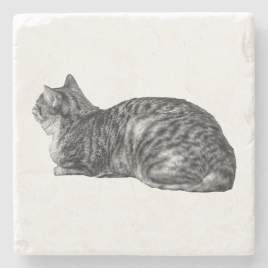 Small Pause, Tabby Poise Stenen Onderzetter (Voorkant)