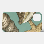 Small Shell Trio op Blauwgroen Case-Mate iPhone Case (Achterkant (horizontaal))