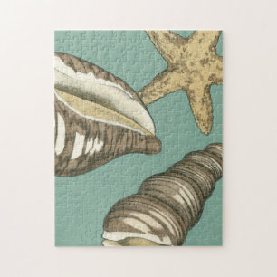 Small Shell Trio op Blauwgroen Legpuzzel