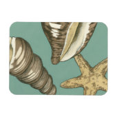 Small Shell Trio op Blauwgroen Magneet (Horizontaal)