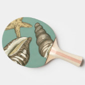 Small Shell Trio op Blauwgroen Tafeltennisbatje (Zijkant)