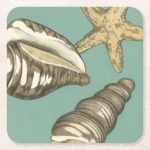 Small Shell Trio op Blauwgroen Vierkante Kartonnen Onderzetter