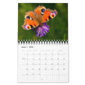 Small Size Beautiful Butterflies Calendar Kalender (Mar 2026)