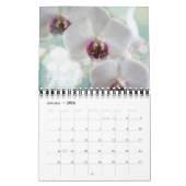 Small Size Beautiful Flowers Calendar Kalender (Jan 2026)