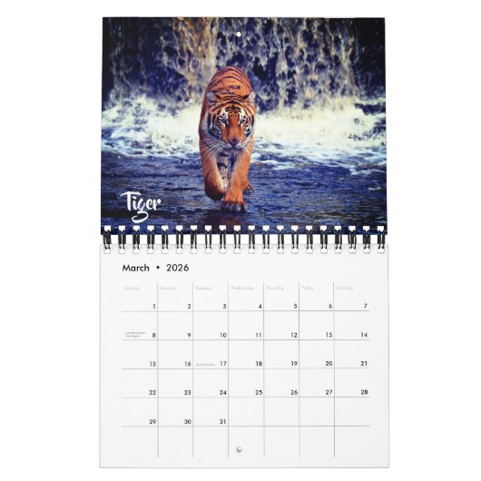Small Size Exotic Animals Calendar Kalender (Mar 2026)