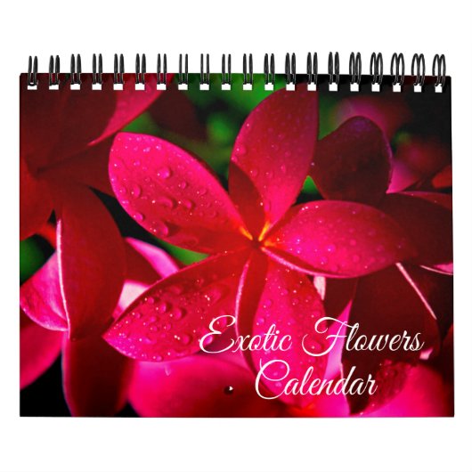 Small Size Exotic Flowers Calendar Kalender (Hoes)