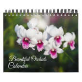Small Size Orchids Calendar Kalender (Hoes)