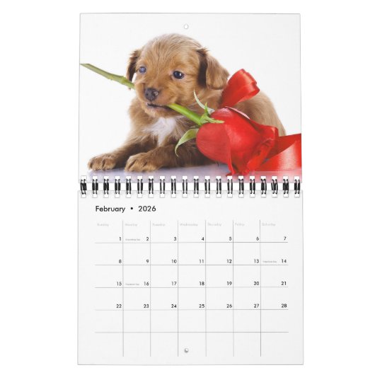 Small Size Puppy Love Calendar Kalender (Feb 2026)