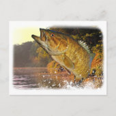 Smallmouth Bass Briefkaart (Voorkant)