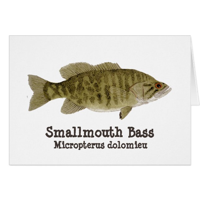 Smallmouth Bass Card (Voorkant Horizontaal)