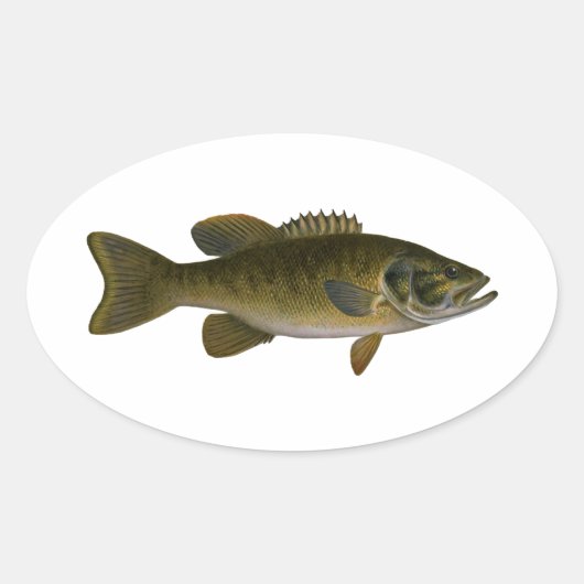 Smallmouth Bass Logo Ovale Sticker (Voorkant)