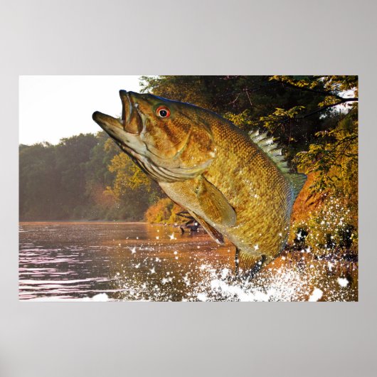 Smallmouth Bass Poster (Voorkant)