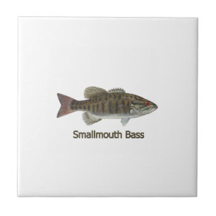 Smallmouth Bass Tegeltje