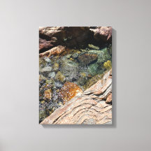 Smaragd Vijvers Muurkunst