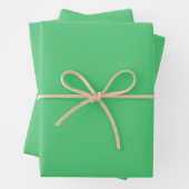 Smaragdgroene effen kleur | Klassiek | Elegant Inpakpapier Vel (In situ)
