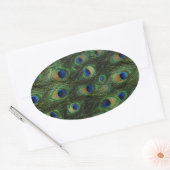 Smaragdgroene Koninklijk Blauwe Pauw Stickers (Envelop)