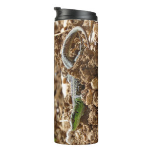Smaragdhagedis in natuurlijke habitat thermosbeker