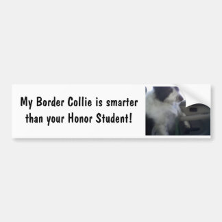 Smart Border Collie Bumpersticker