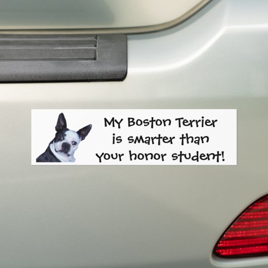 Smart Boston Terrier - Bumpersticker (Op auto)