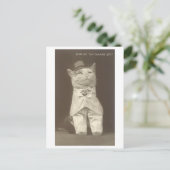 "Smart Set"  Aangeklede Kat Briefkaart (Staand voorkant)